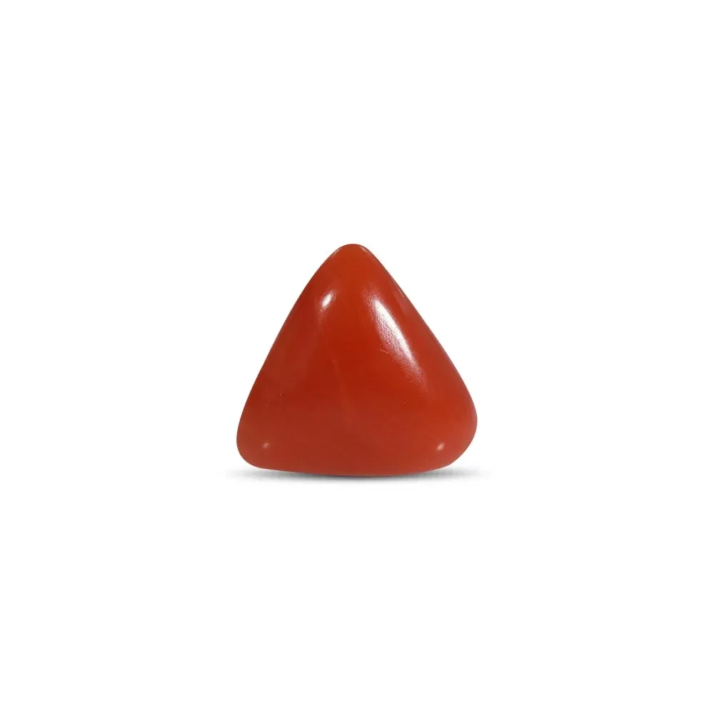Red Coral - 2.53 Carat