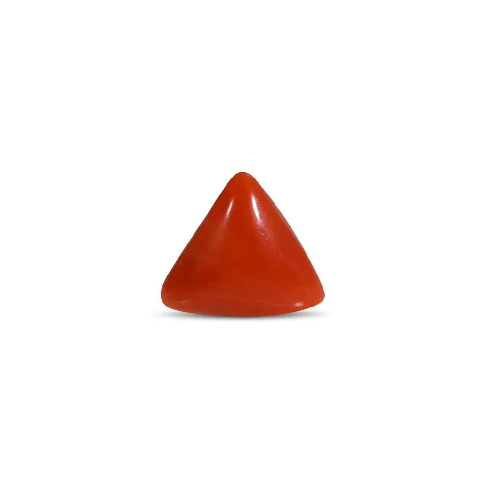 Red Coral - 2.59 Carat
