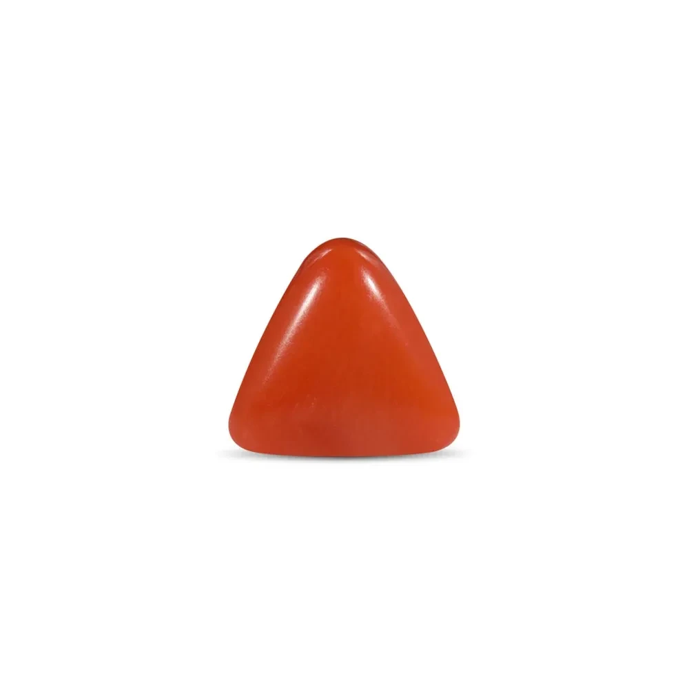 Red Coral - 2.94 Carat
