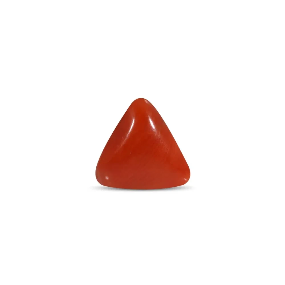 Red Coral - 3.15 Carat