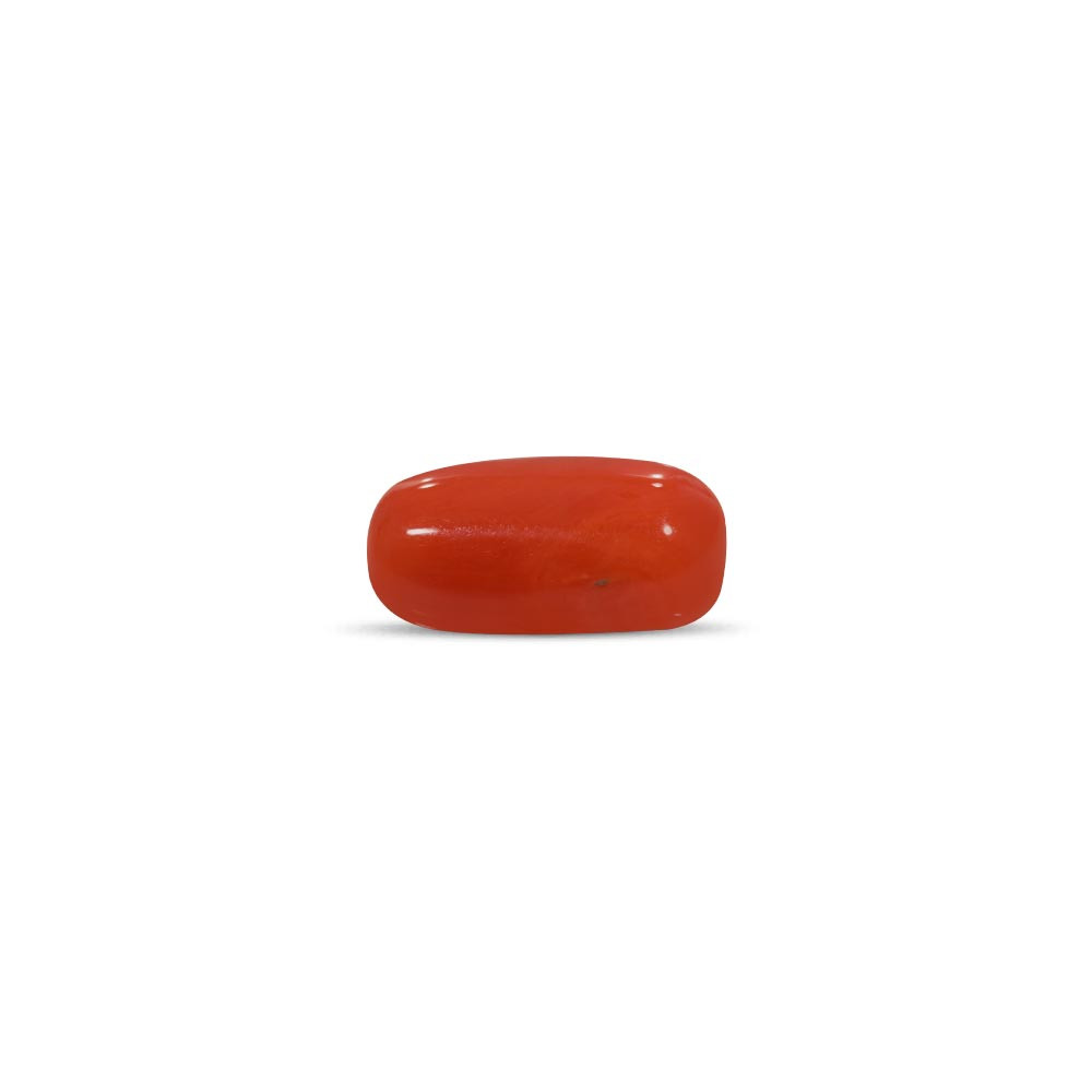 Red Coral - 7.80 Carat
