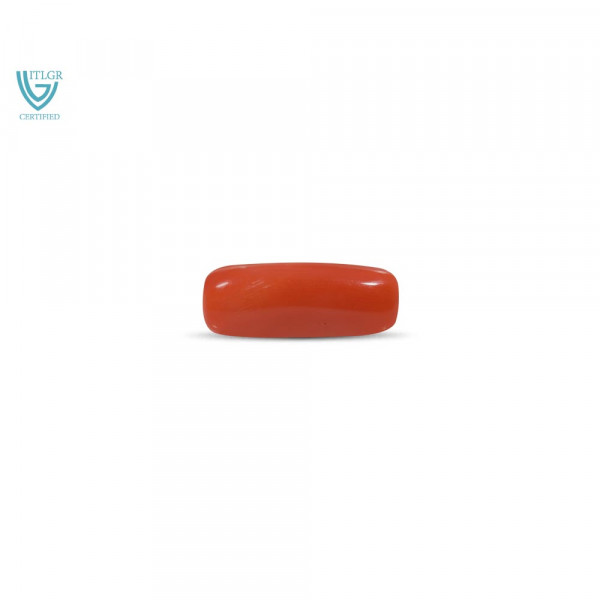 Red Coral - 8.29 Carat