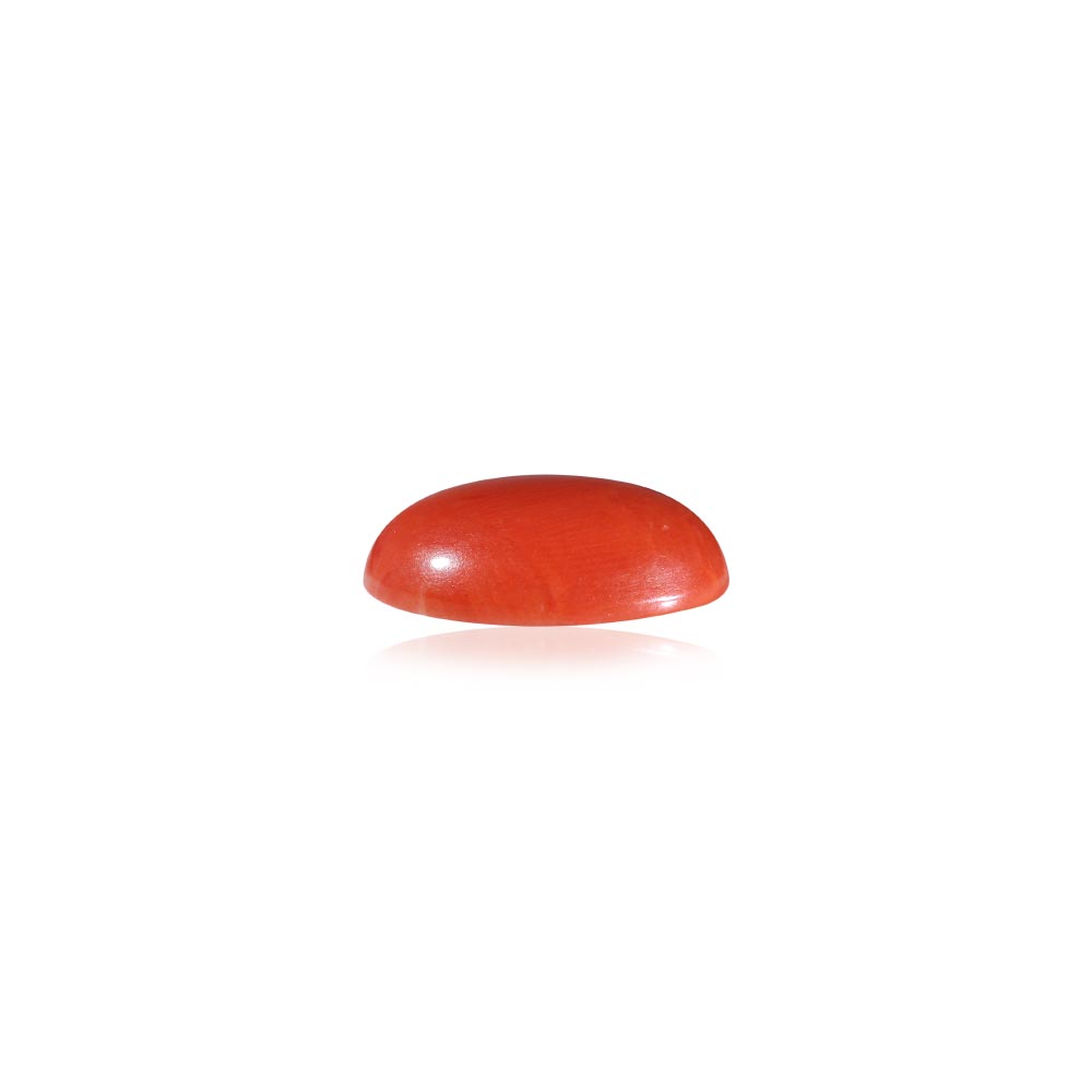 Red Coral - 10.42 Carat