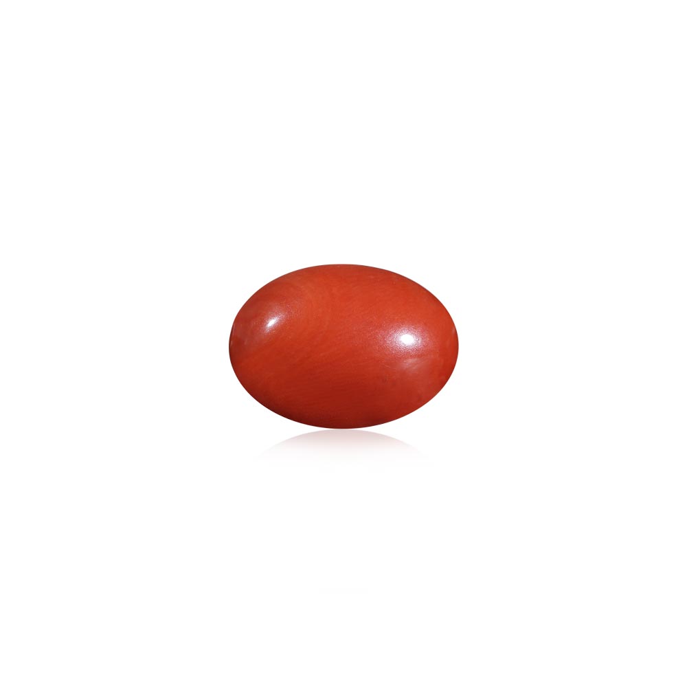 Red Coral - 10.42 Carat