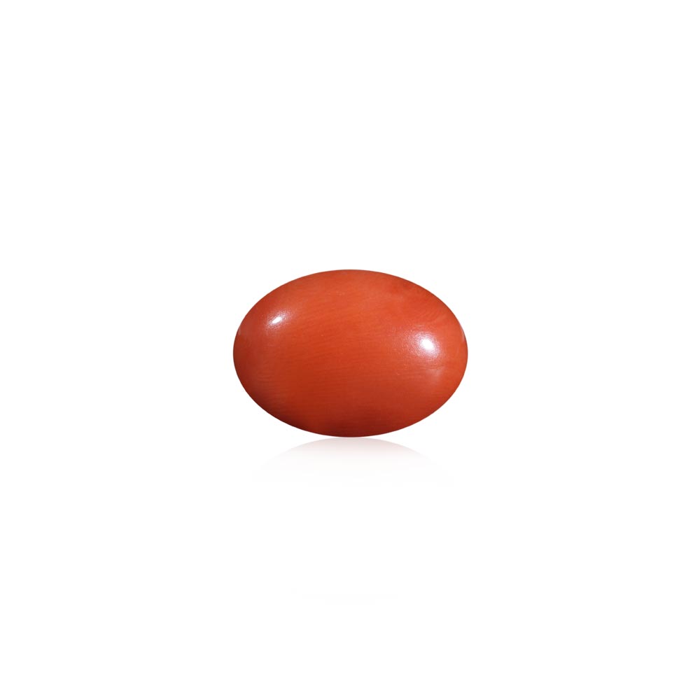 Red Coral - 10.44 Carat