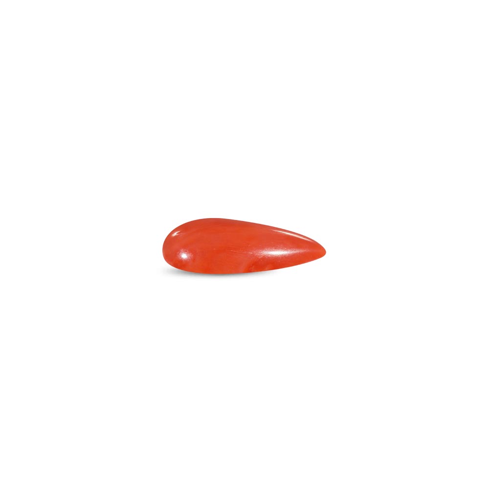 Red Coral - 12.50 Carat