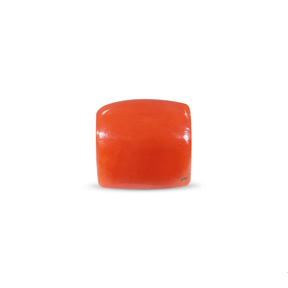 Red Coral - 12.60 Carat