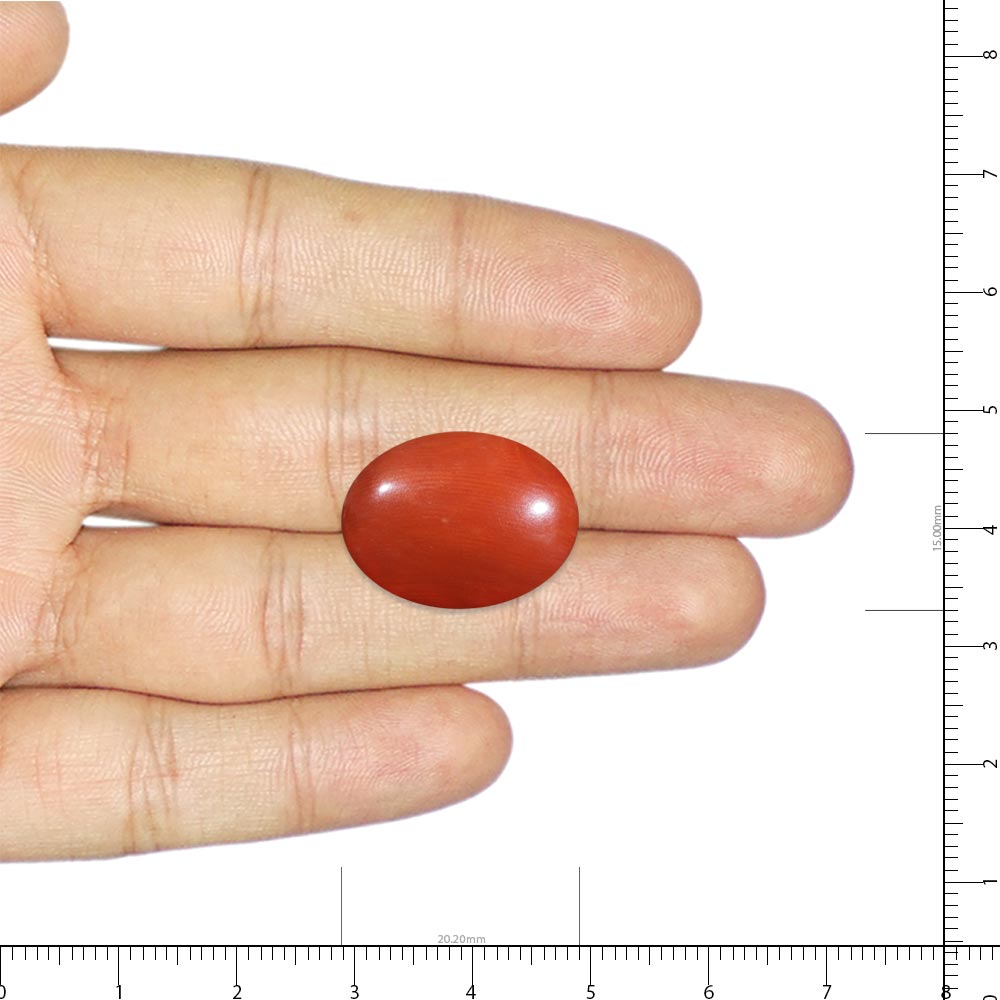 Red Coral - 12.87 Carat