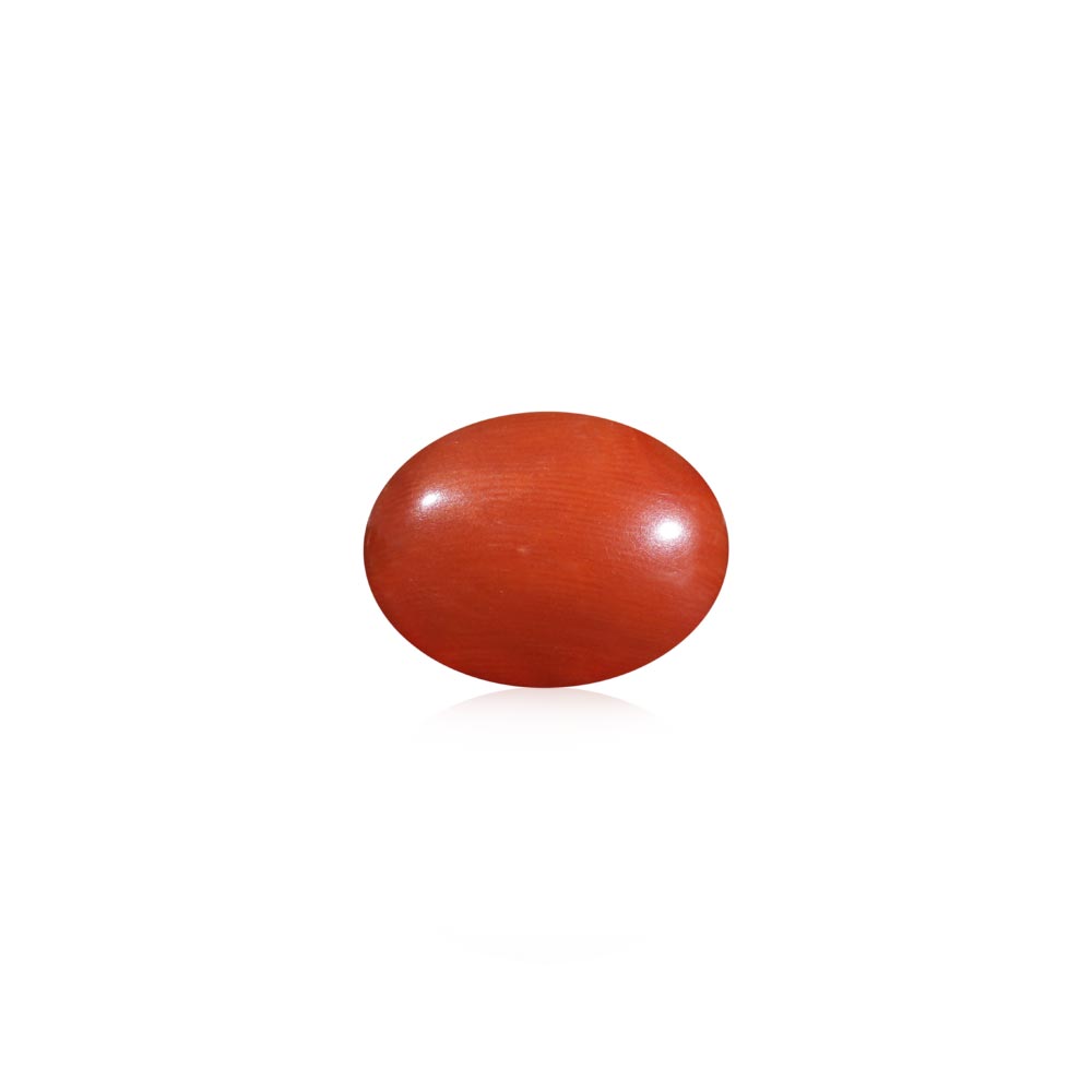 Red Coral - 12.87 Carat