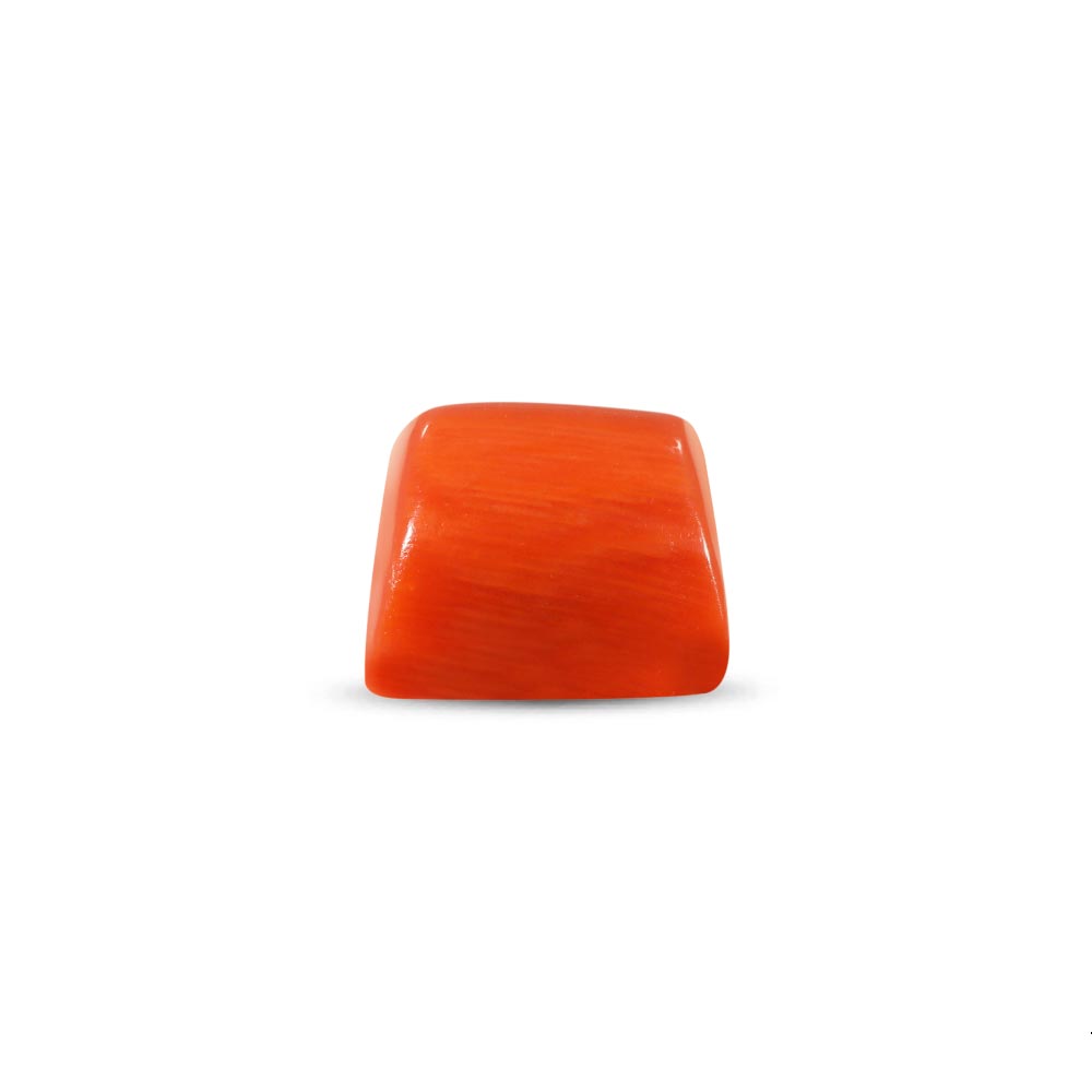 Red Coral - 14.20 Carat