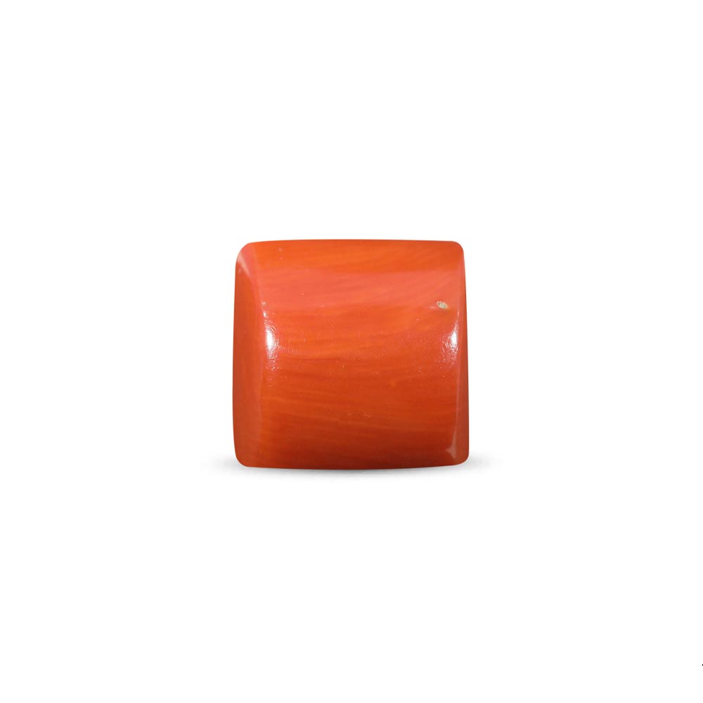 Red Coral - 14.20 Carat