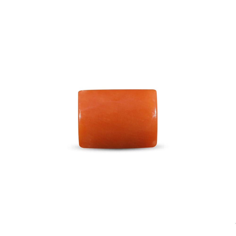 Red Coral - 5.50 Carat