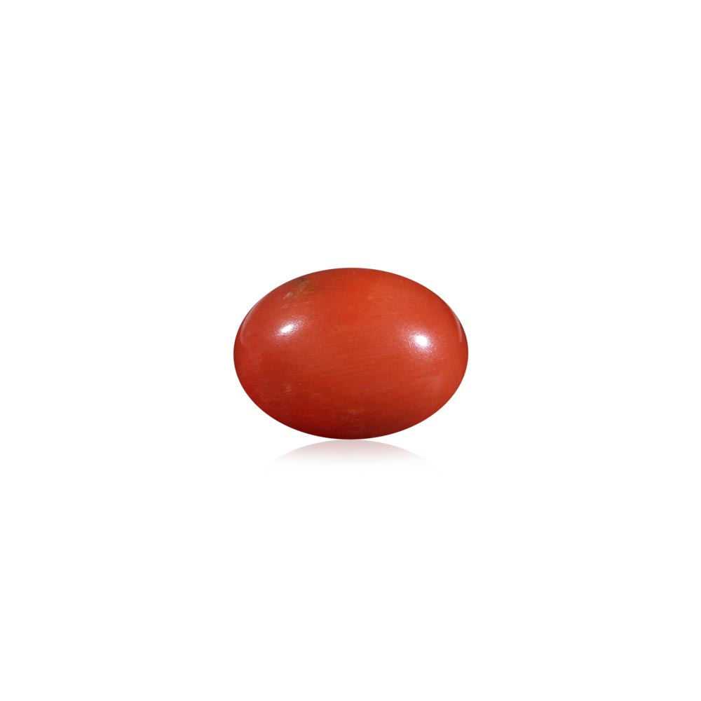 Red Coral - 7.41 Carat