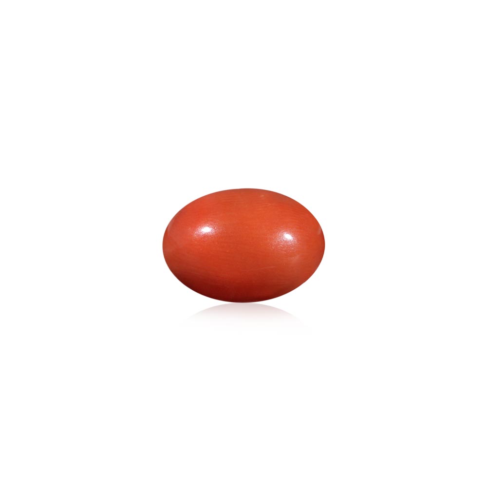 Red Coral - 7.53 Carat