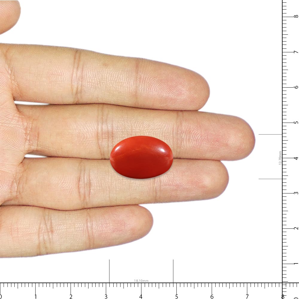 Red Coral - 7.58 Carat