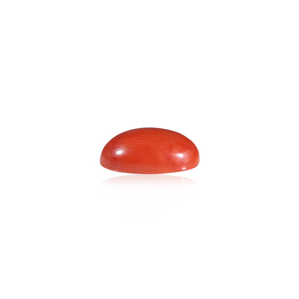 Red Coral - 7.59 Carat