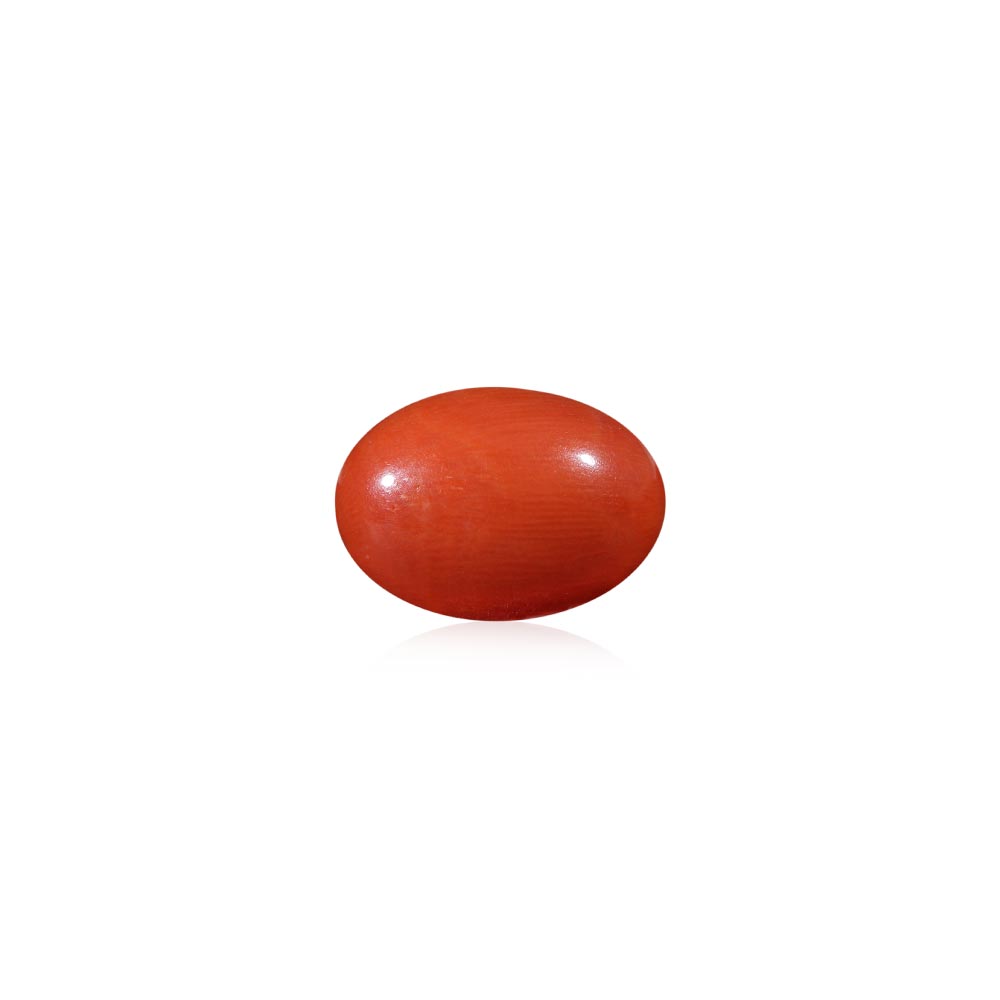Red Coral - 7.68 Carat