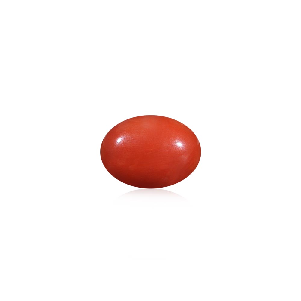 Red Coral - 7.95 Carat