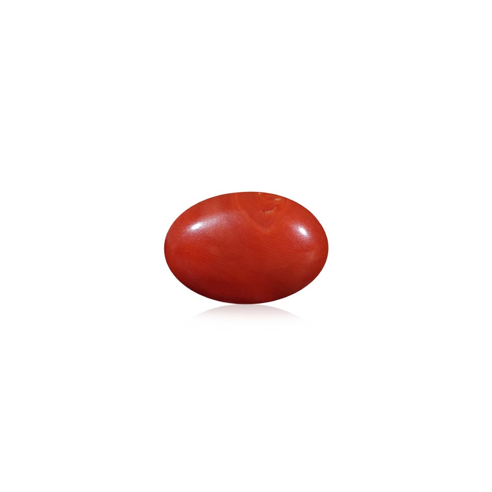 Red Coral - 8.03 Carat