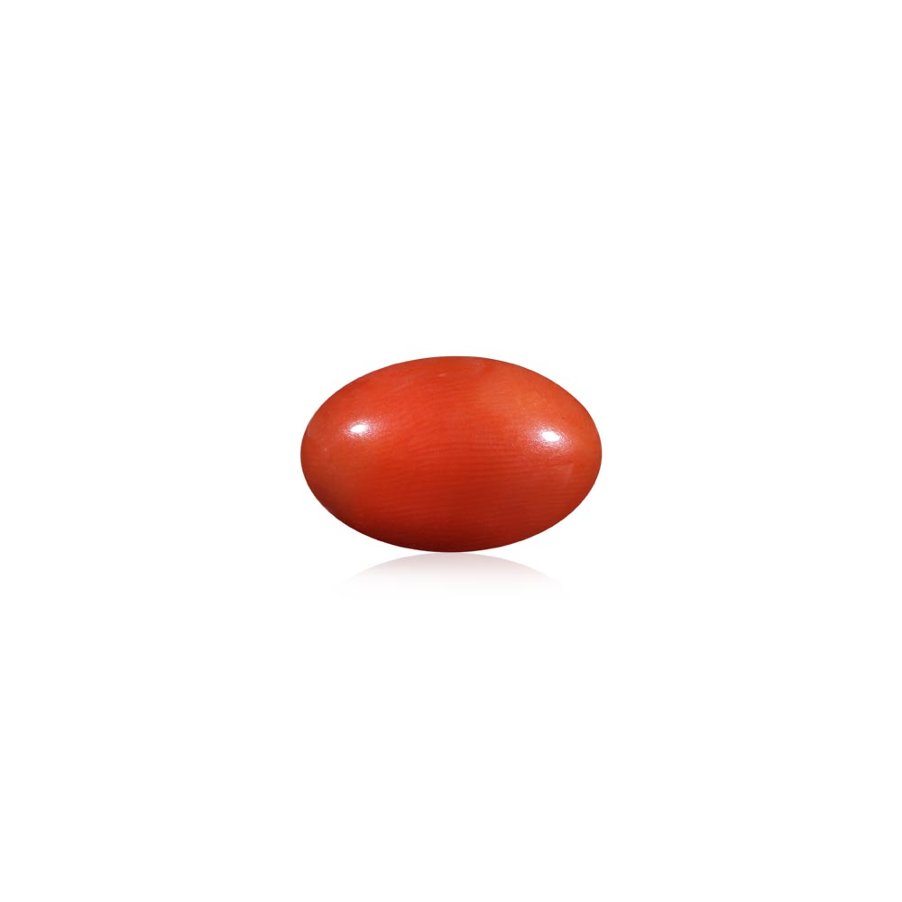 Red Coral - 8.05 Carat