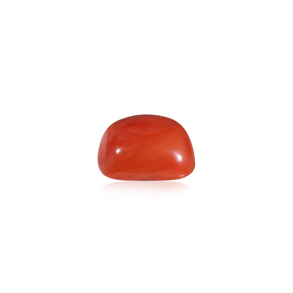 Red Coral - 8.32 Carat