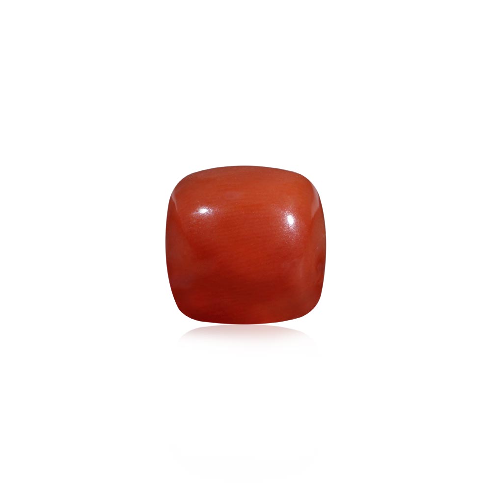Red Coral - 8.32 Carat