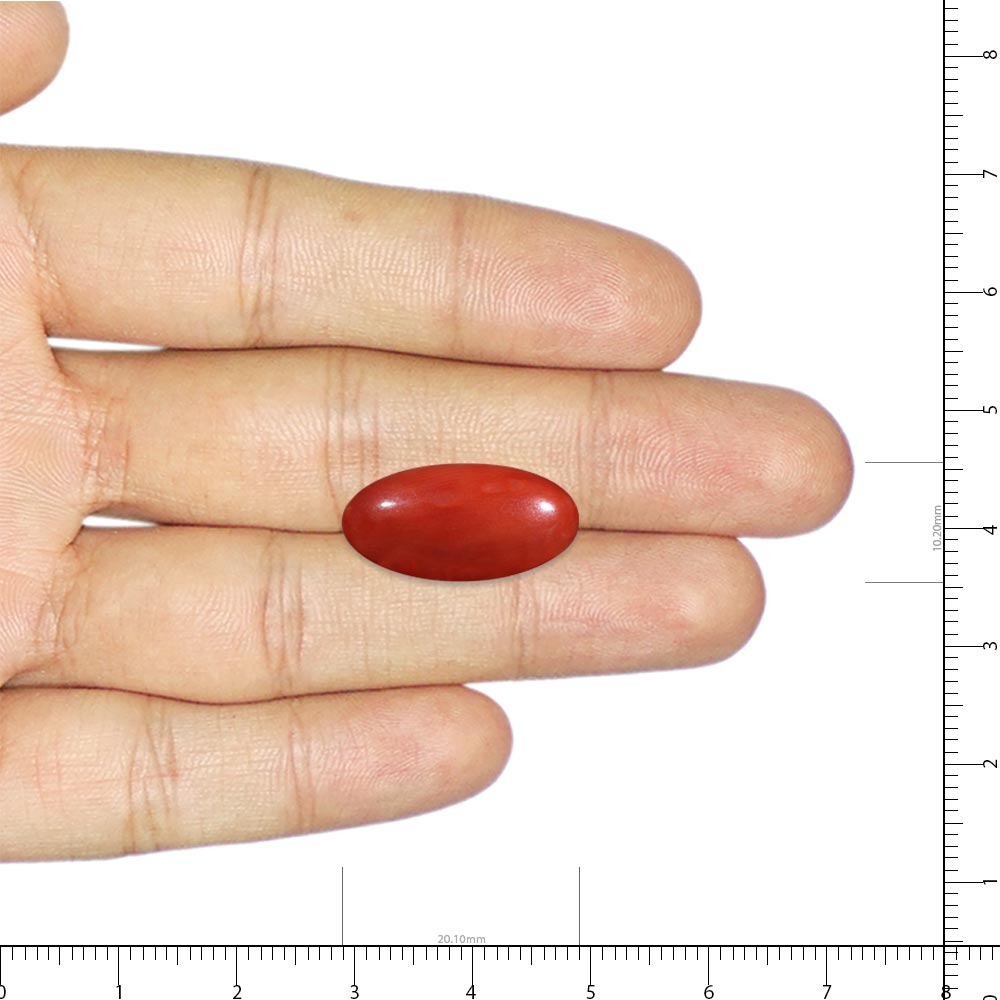 Red Coral - 8.57 Carat