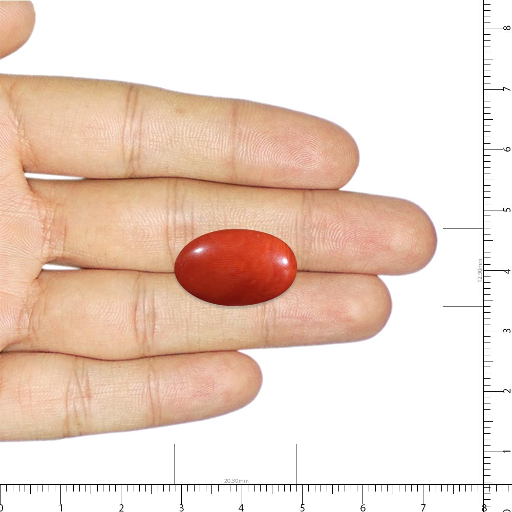 Red Coral - 9.01 Carat