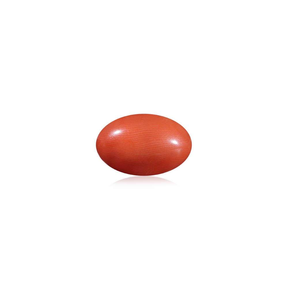 Red Coral - 9.06 Carat