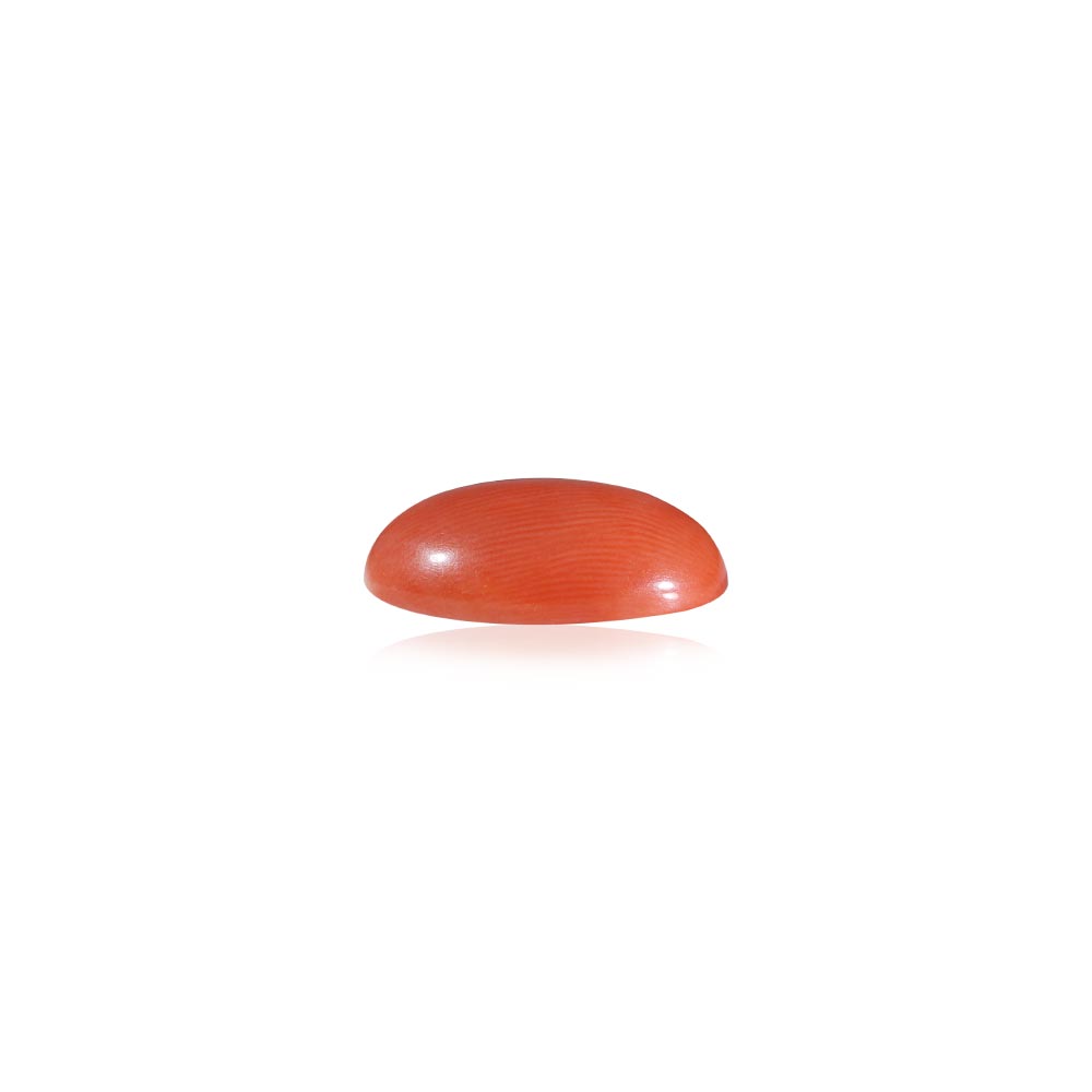 Red Coral - 9.06 Carat