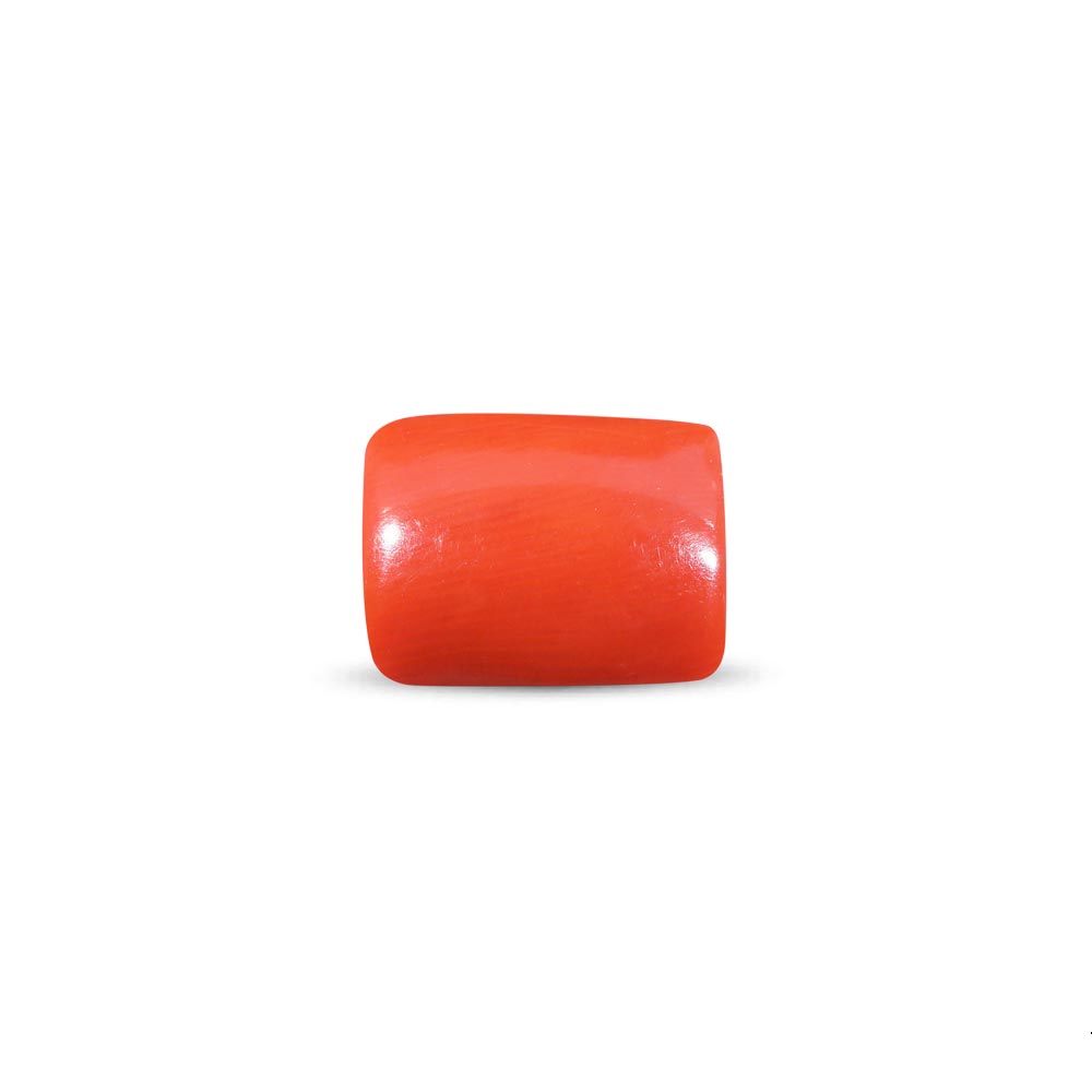 Red Coral - 9.10 Carat