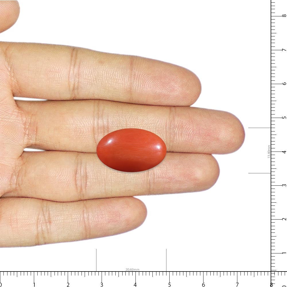 Red Coral - 9.12 Carat