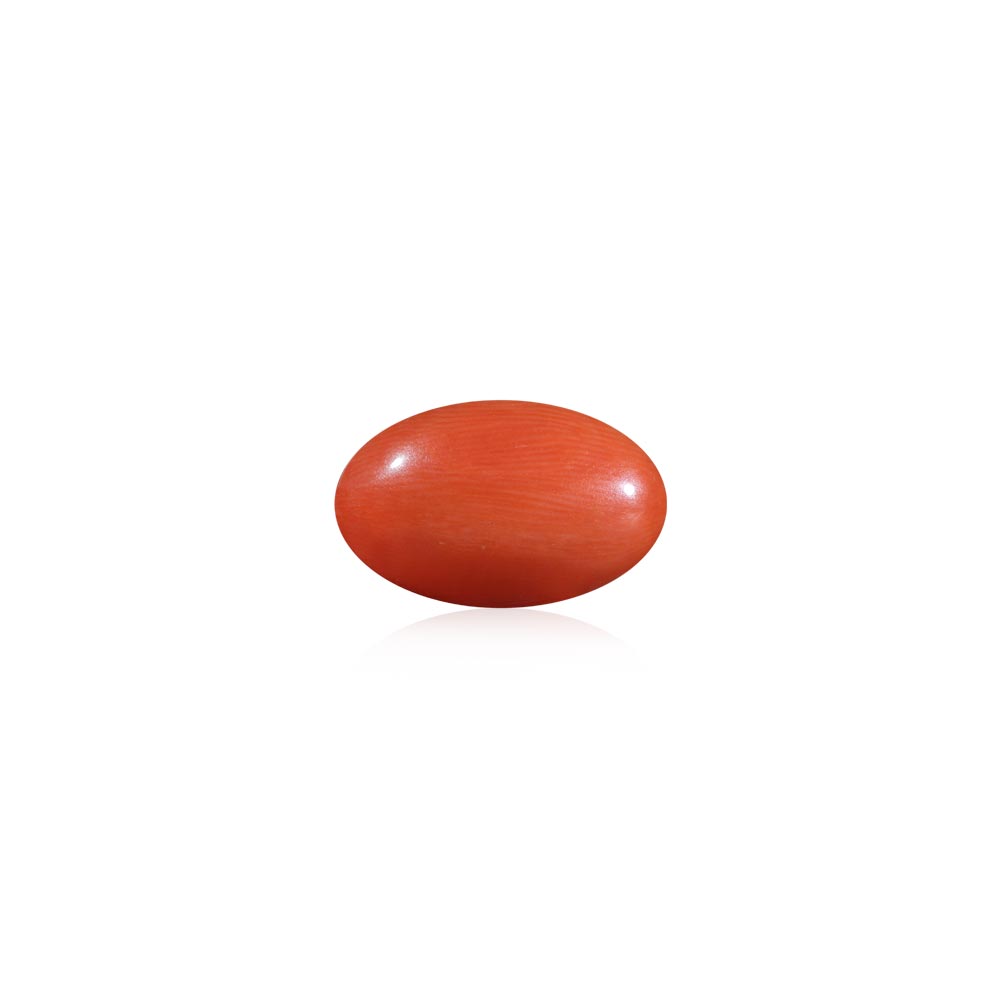 Red Coral - 9.12 Carat