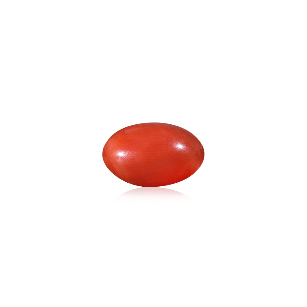 Red Coral - 9.4 Carat