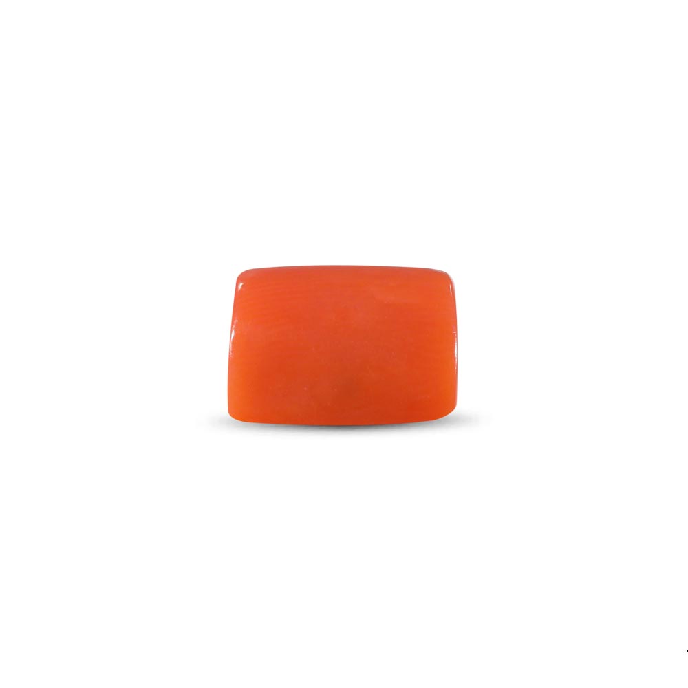Red Coral - 9.65 Carat