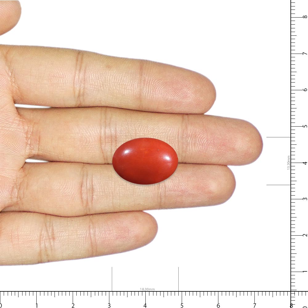 Red Coral - 9.87 Carat