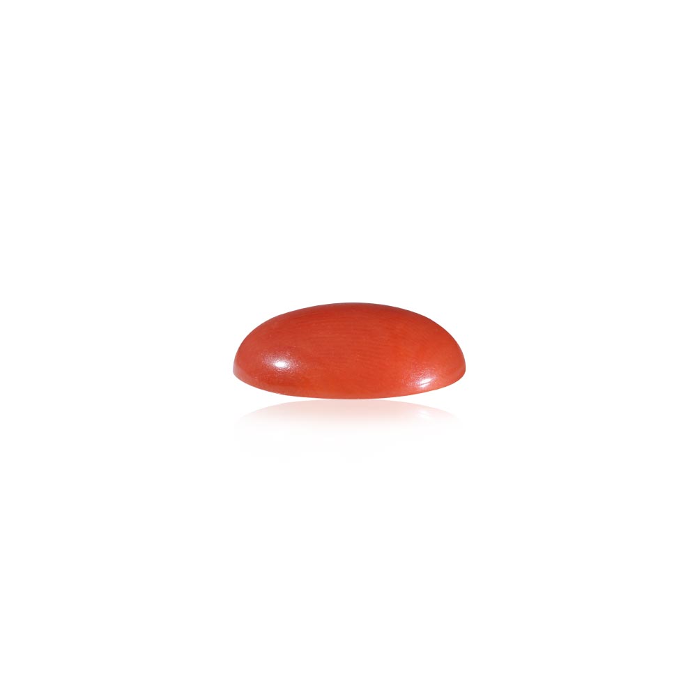 Red Coral - 9.87 Carat