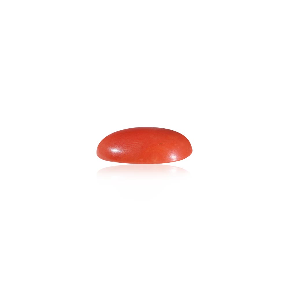 Red Coral - 9.89 Carat