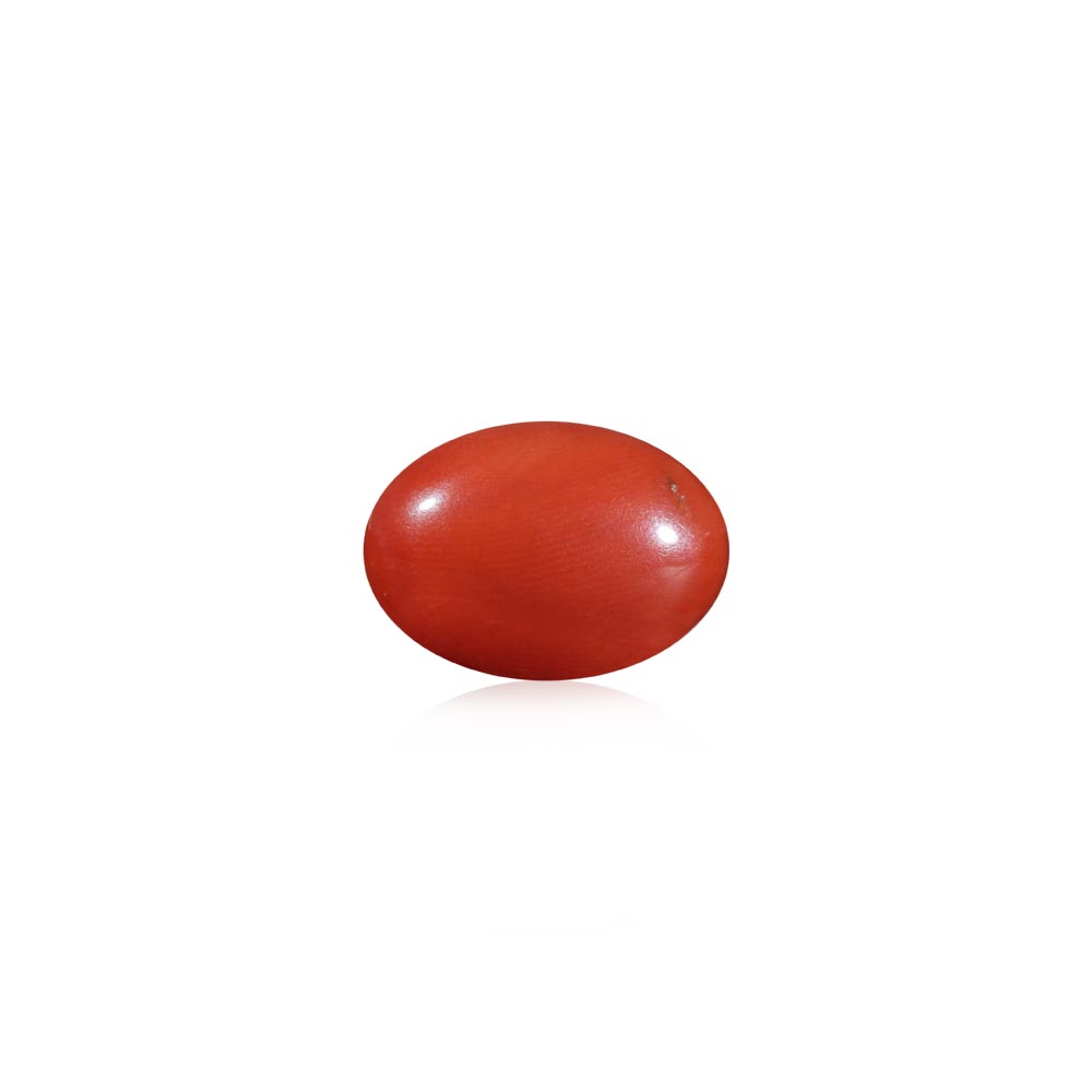 Red Coral - 9.89 Carat