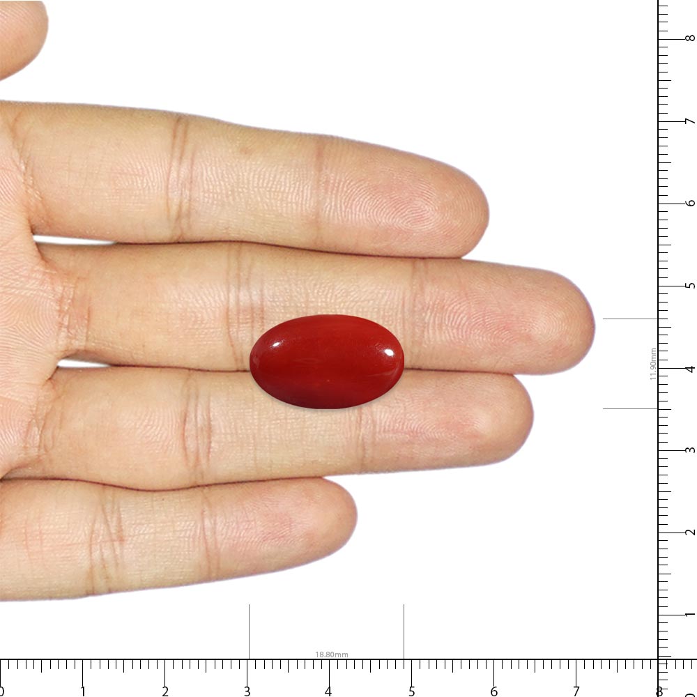 Red Coral - 10.05 Carat