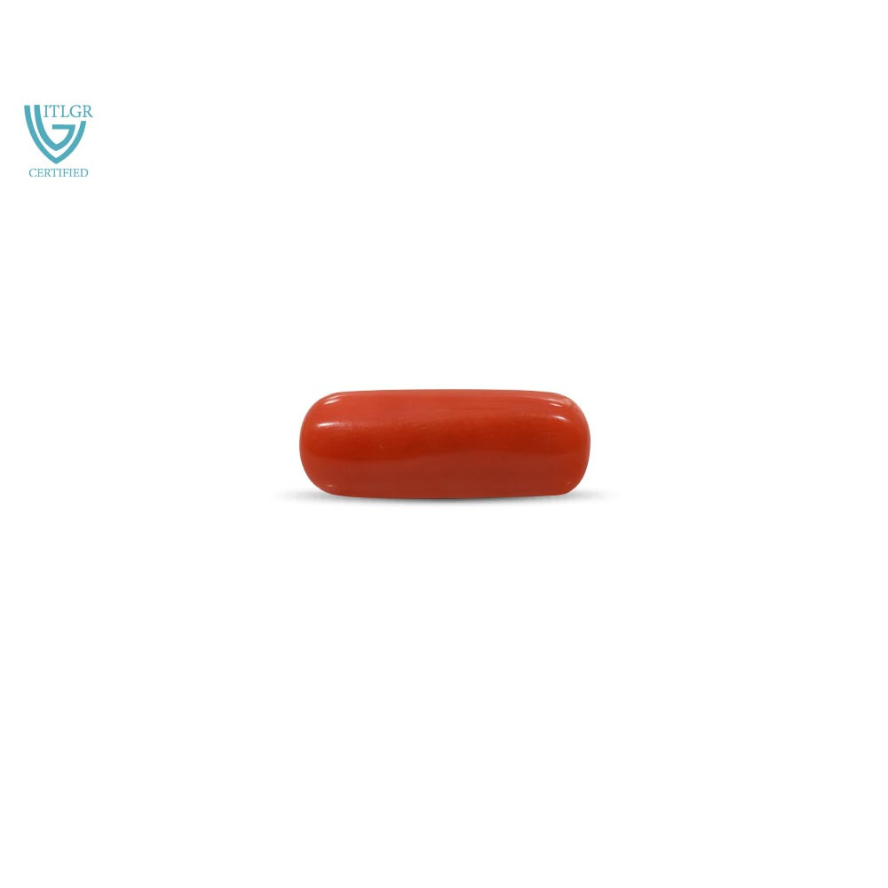 Red Coral - 10.24 Carat