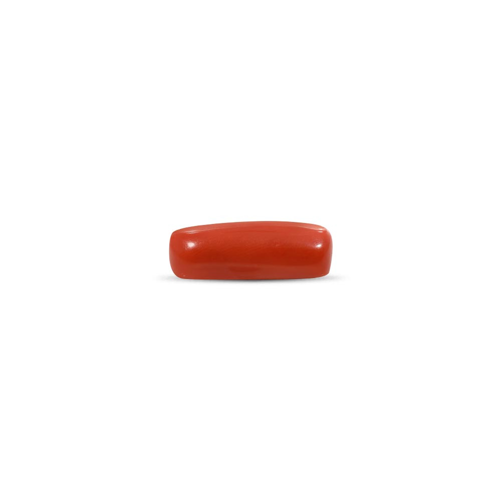 Red Coral - 10.24 Carat