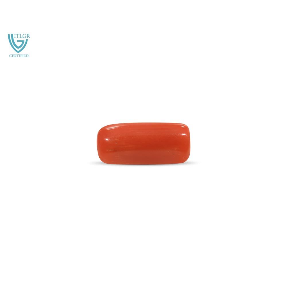 Red Coral - 10.3 Carat