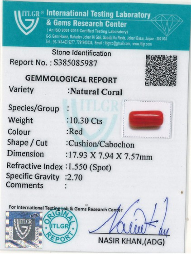 Red Coral - 10.3 Carat