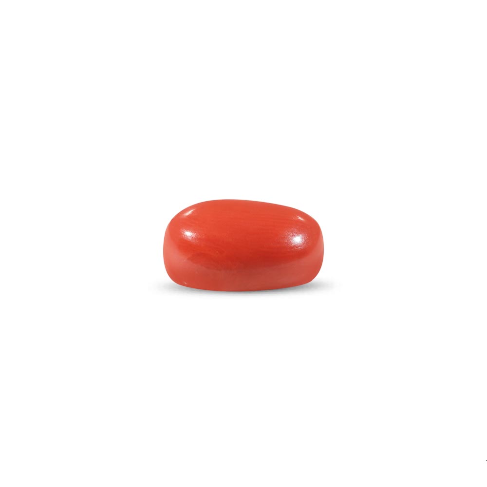 Red Coral - 10.33 Carat