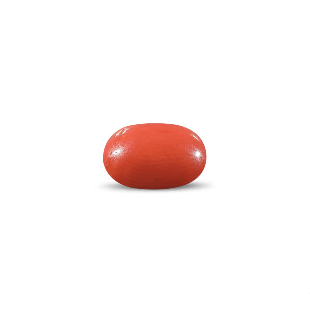 Red Coral - 10.33 Carat