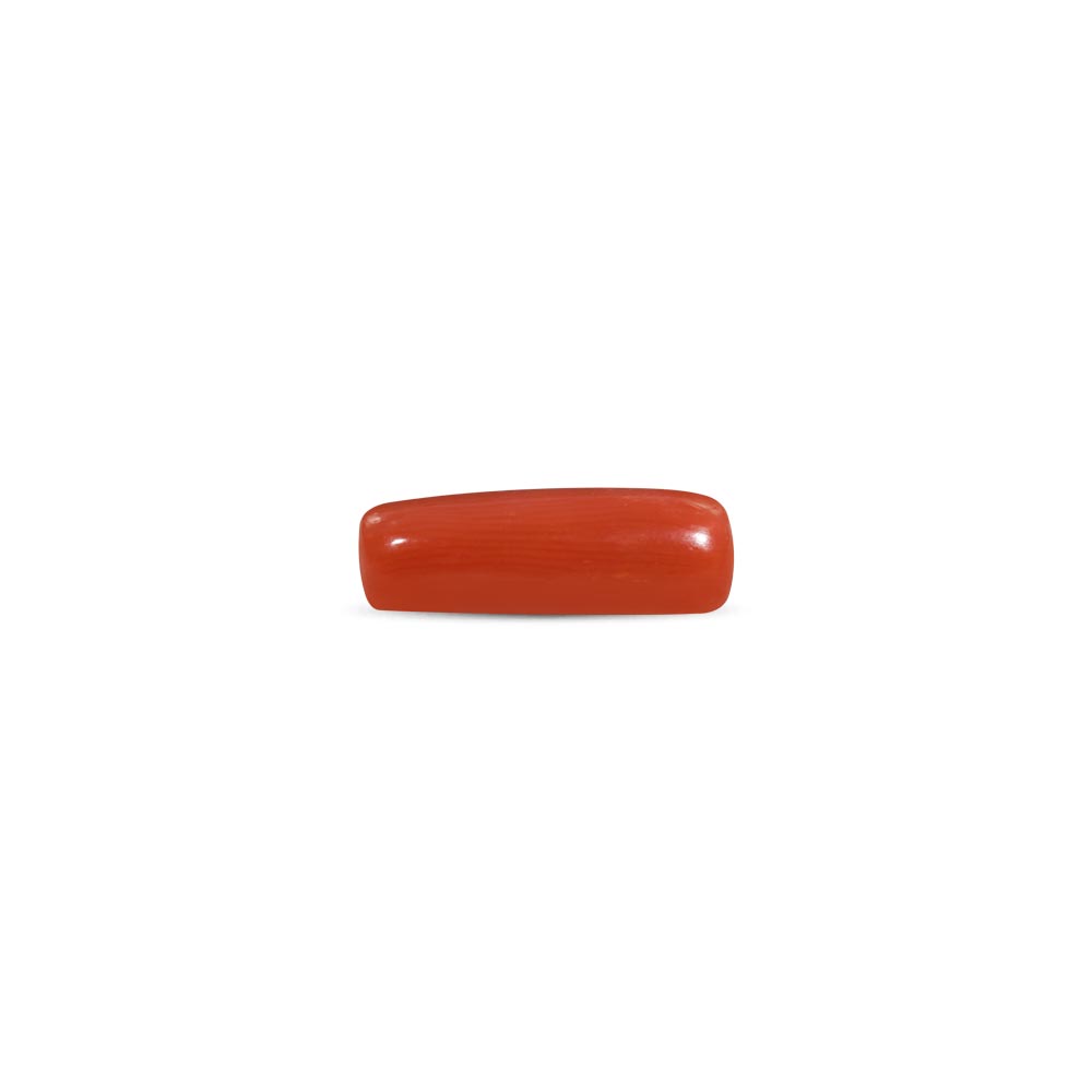 Red Coral - 10.44 Carat