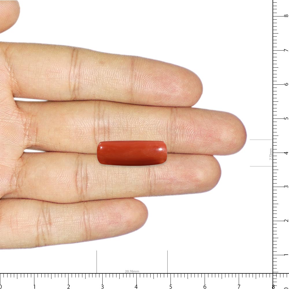 Red Coral - 10.44 Carat