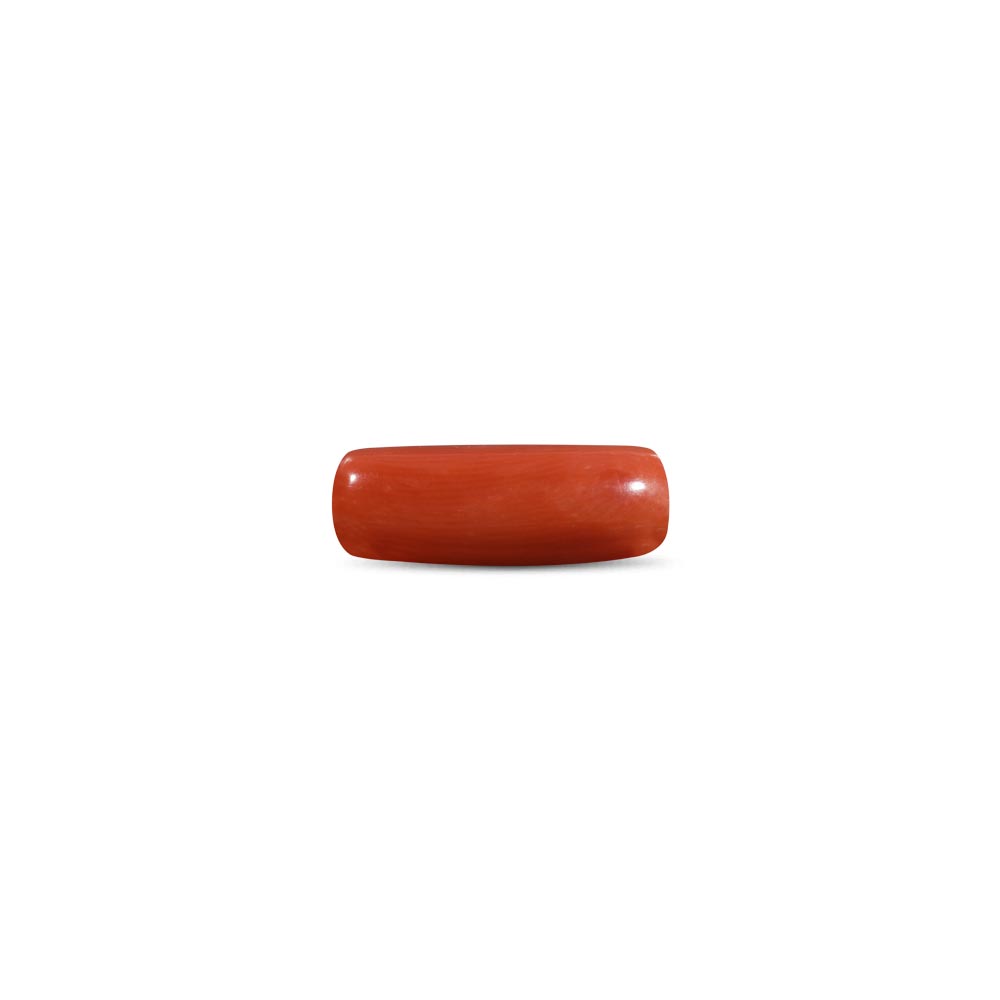 Red Coral - 10.44 Carat