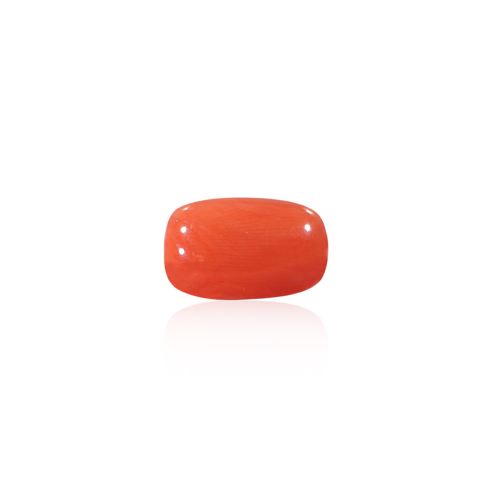 Red Coral - 10.50 Carat